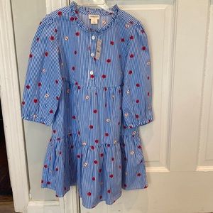 JCrew Size 5 Apple Dress NWT